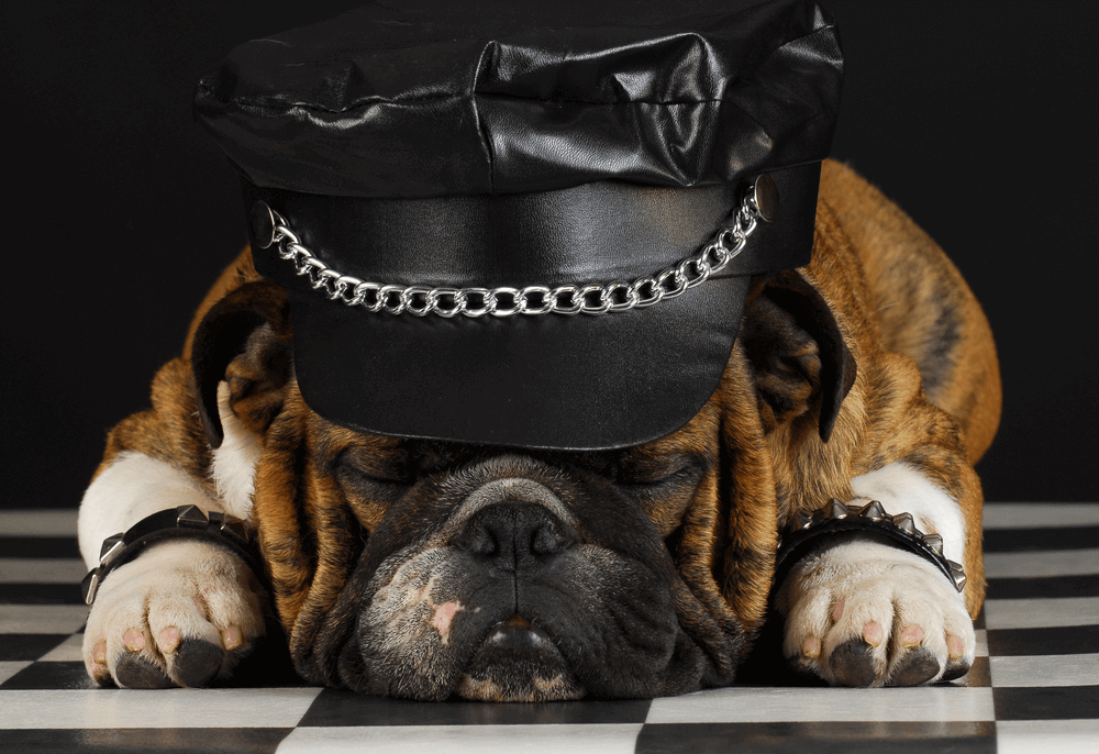 Spiked_Clothing_And_Accessories_The_True_Armour_Of_Rock_Souls