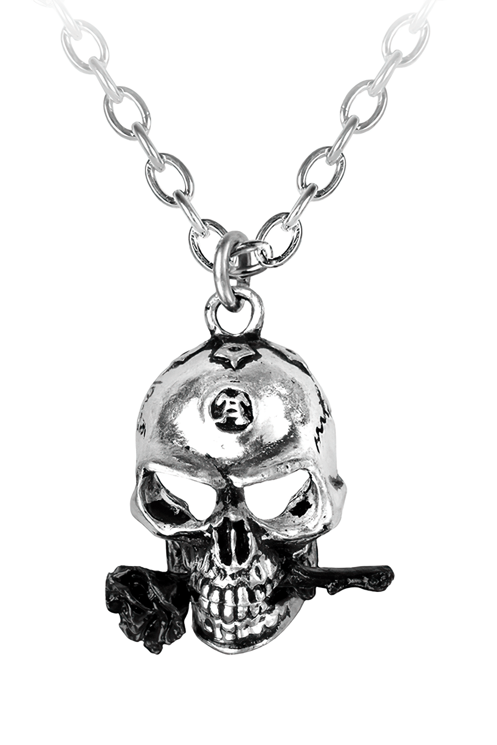 Alchemist skull pendant with black rose accent, perfect for gothic and alternative jewelry enthusiasts.