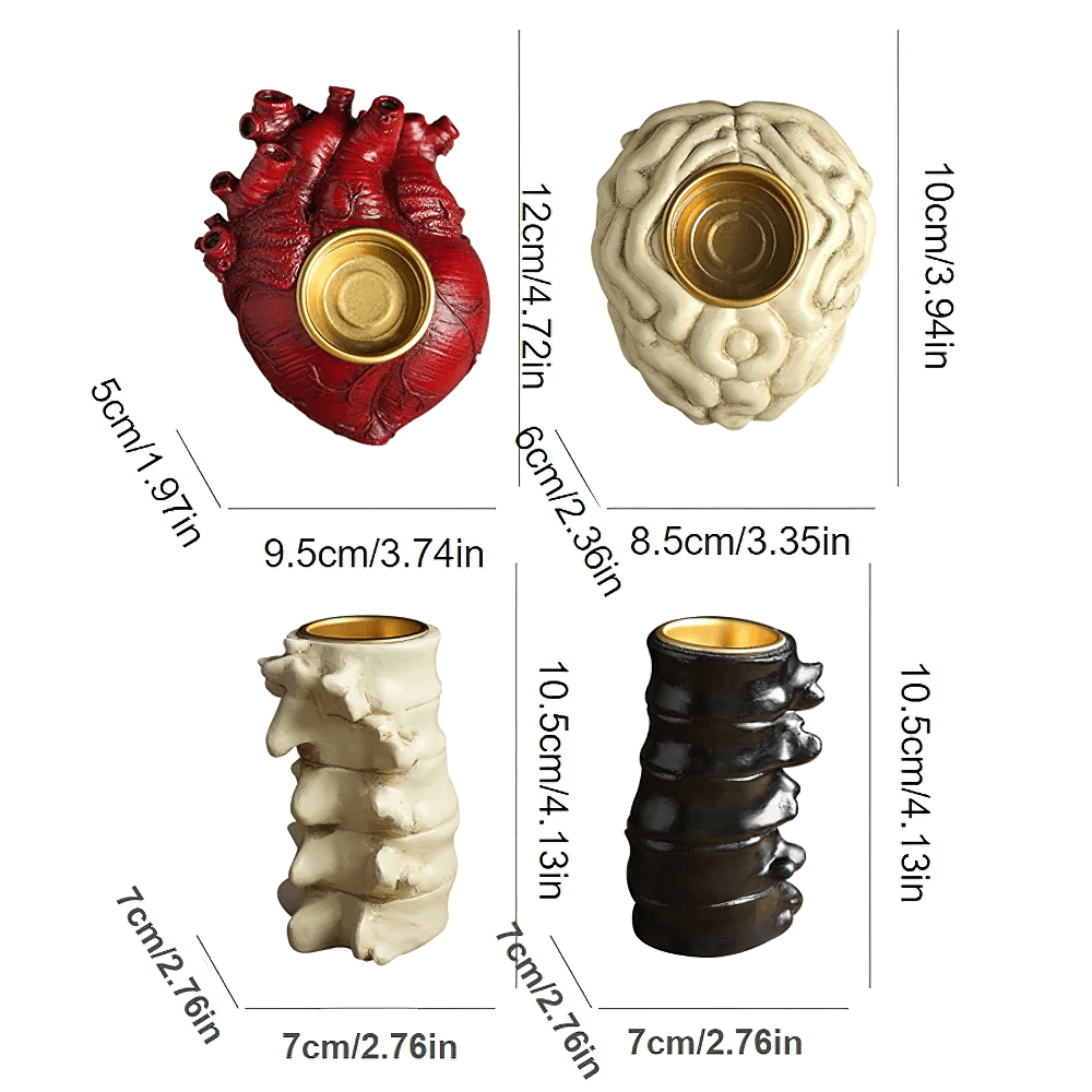 Anatomy Candle Holder for Gothic Horror Decor with heart, brain, and spine shapes in dark finishes.