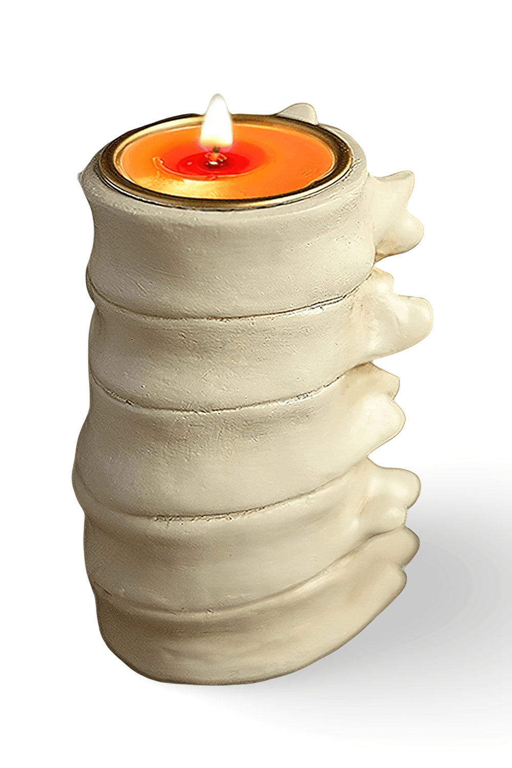 Anatomy Candle Holder for Gothic Horror Decor showcasing a spine-shaped tea light holder with eerie details.