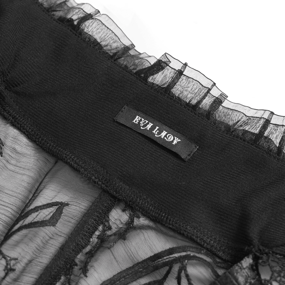 Alt Tag: Black Gothic Lace Mesh Maxi Dress with Short Sleeves close-up of sheer lace mesh neckline with ruffle trim and label