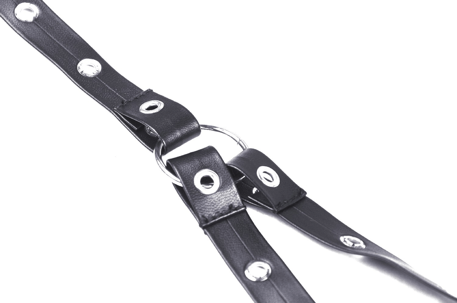 Close-up of a stylish black leather strap with metal rings and snap closures, perfect for edgy fashion accessories.