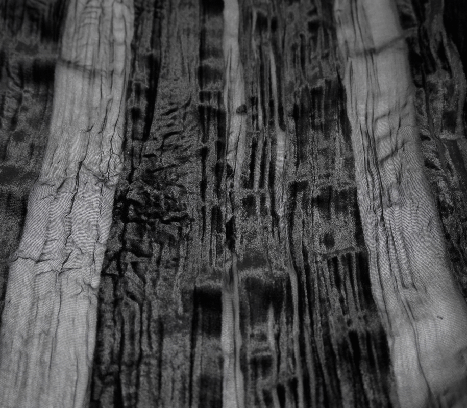 Close-up of black velvet fabric with transparent stripes, showcasing a gothic-inspired texture and vintage appeal.