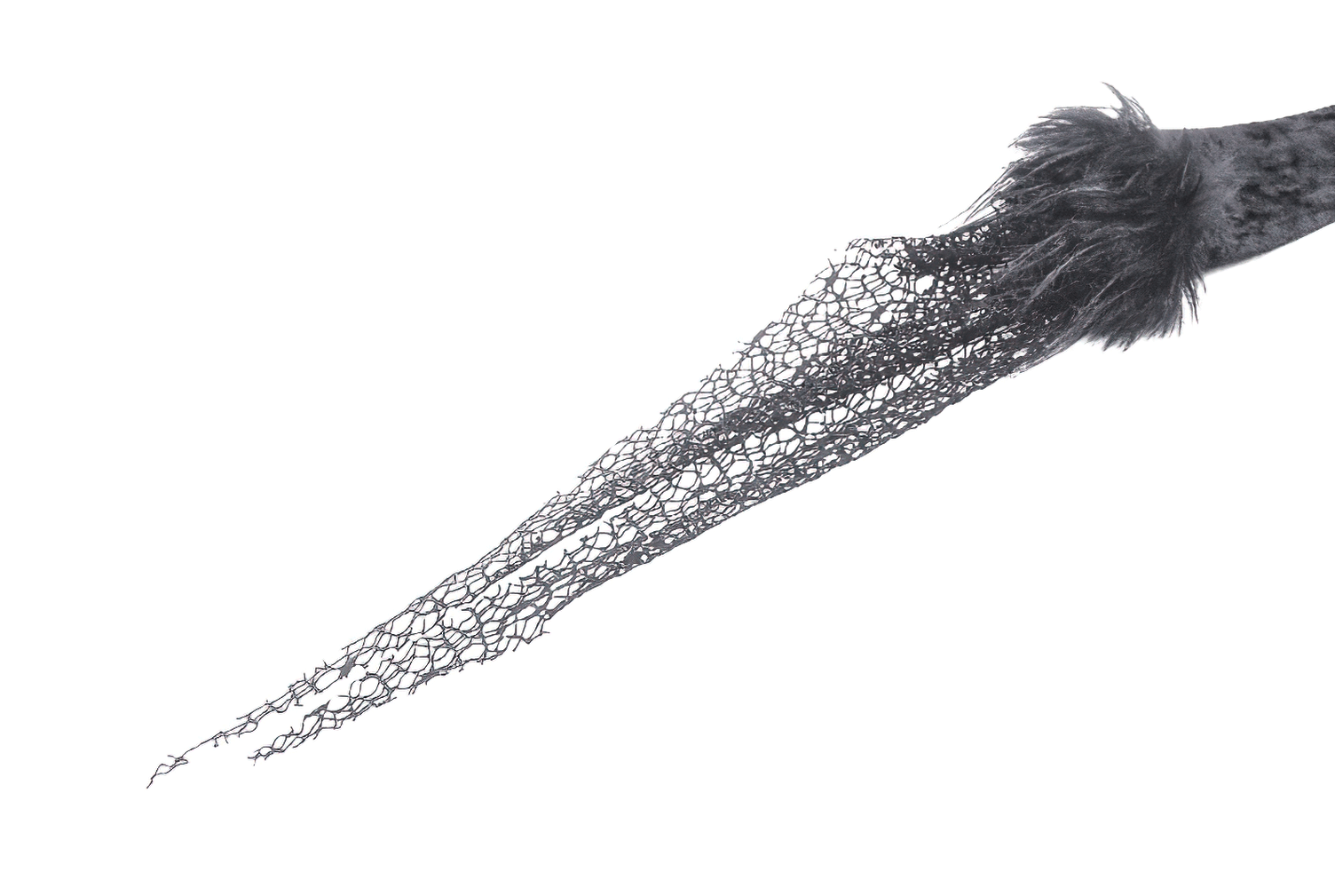 Artistic close-up of dark lace fabric with a soft fur trim, perfect for gothic-themed fashion designs.