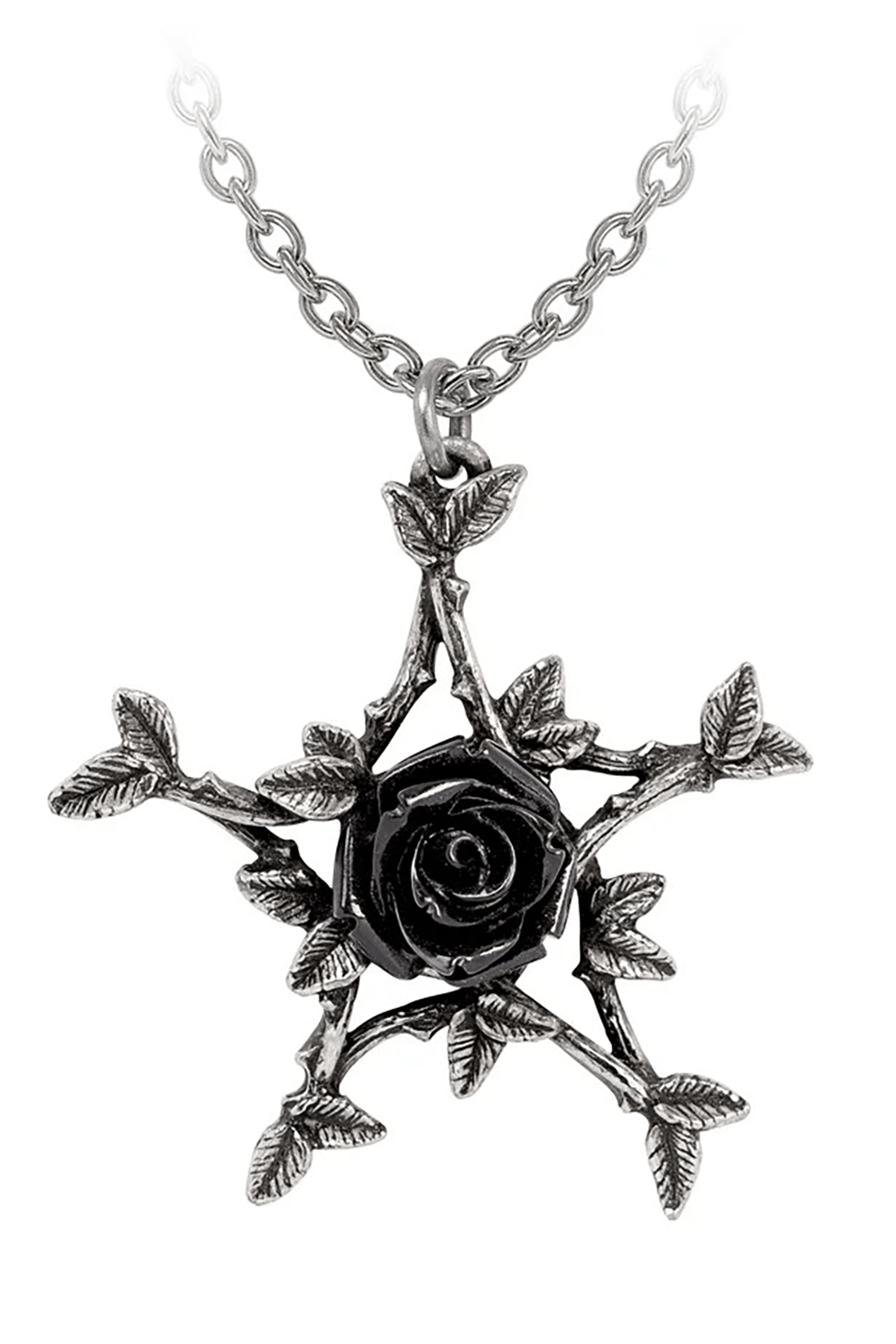 Coven Rose Gothic Black Rose Pendant Necklace featuring intricate brier stems, a black rose, and stainless steel chain.