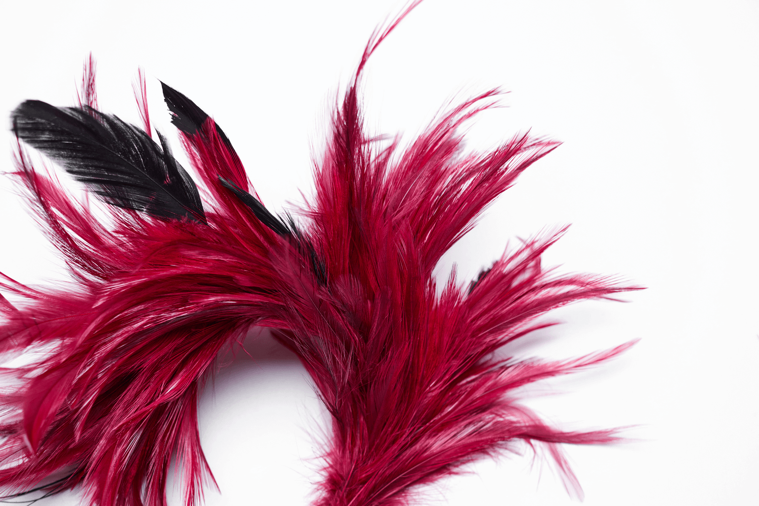 Vibrant red feather hair accessory with black accents, perfect for gothic and edgy styles.