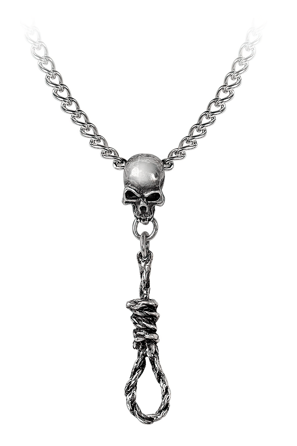 Dark gothic skull pendant with a hangman's noose, perfect for macabre fashion enthusiasts.
