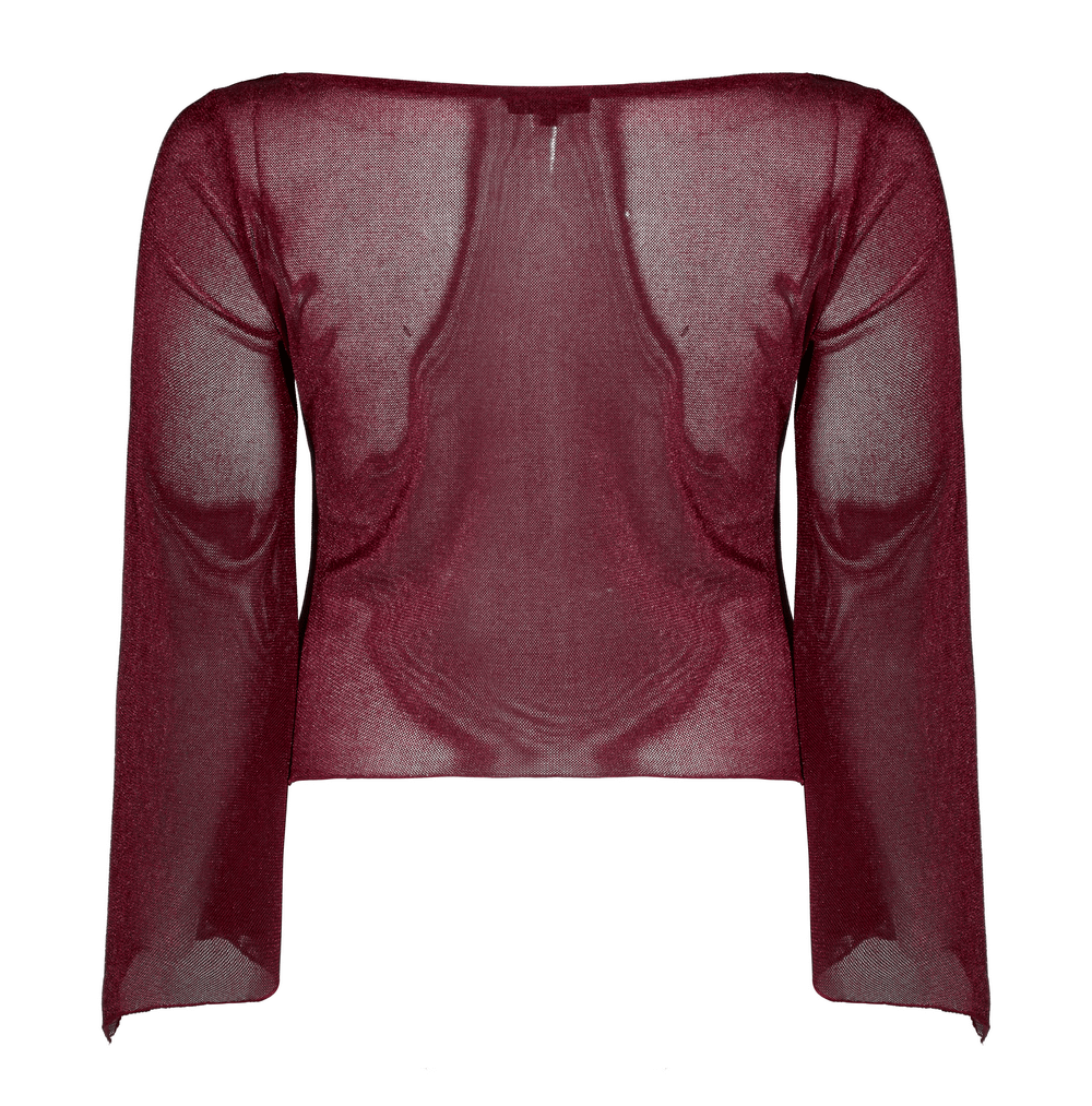 Edgy Gothic Elastic Mesh Two-Piece Top with Hooks