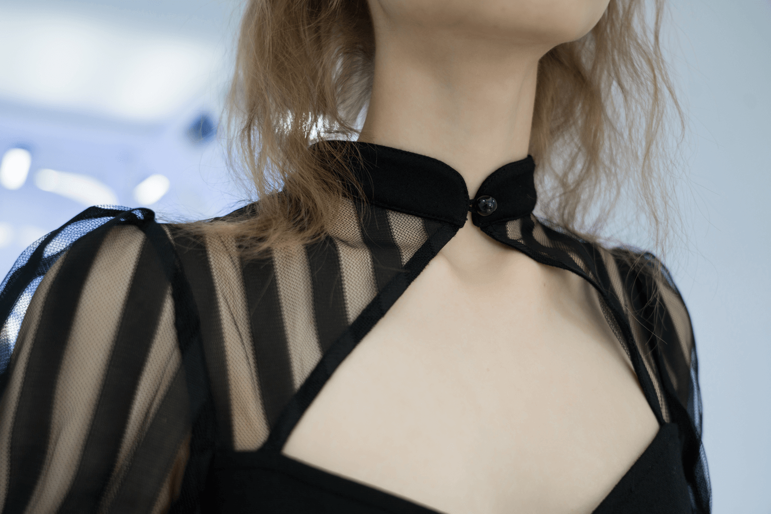 Edgy Sheer Stripe Detail Cheongsam Inspired Dress