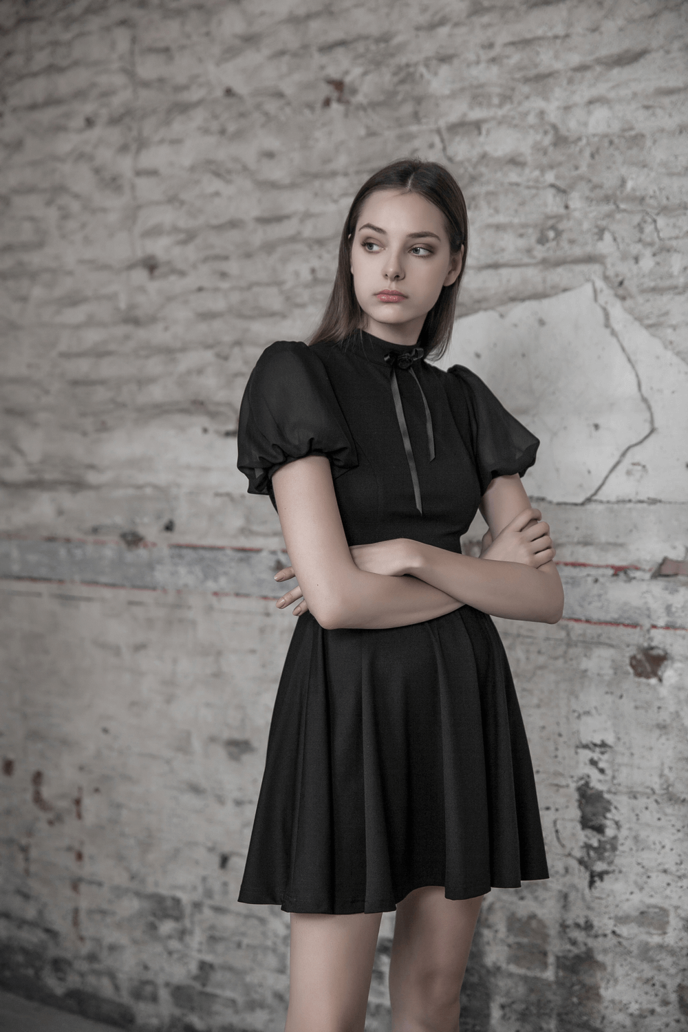 Elegant Black A-Line Dress with Sheer Puff Sleeves