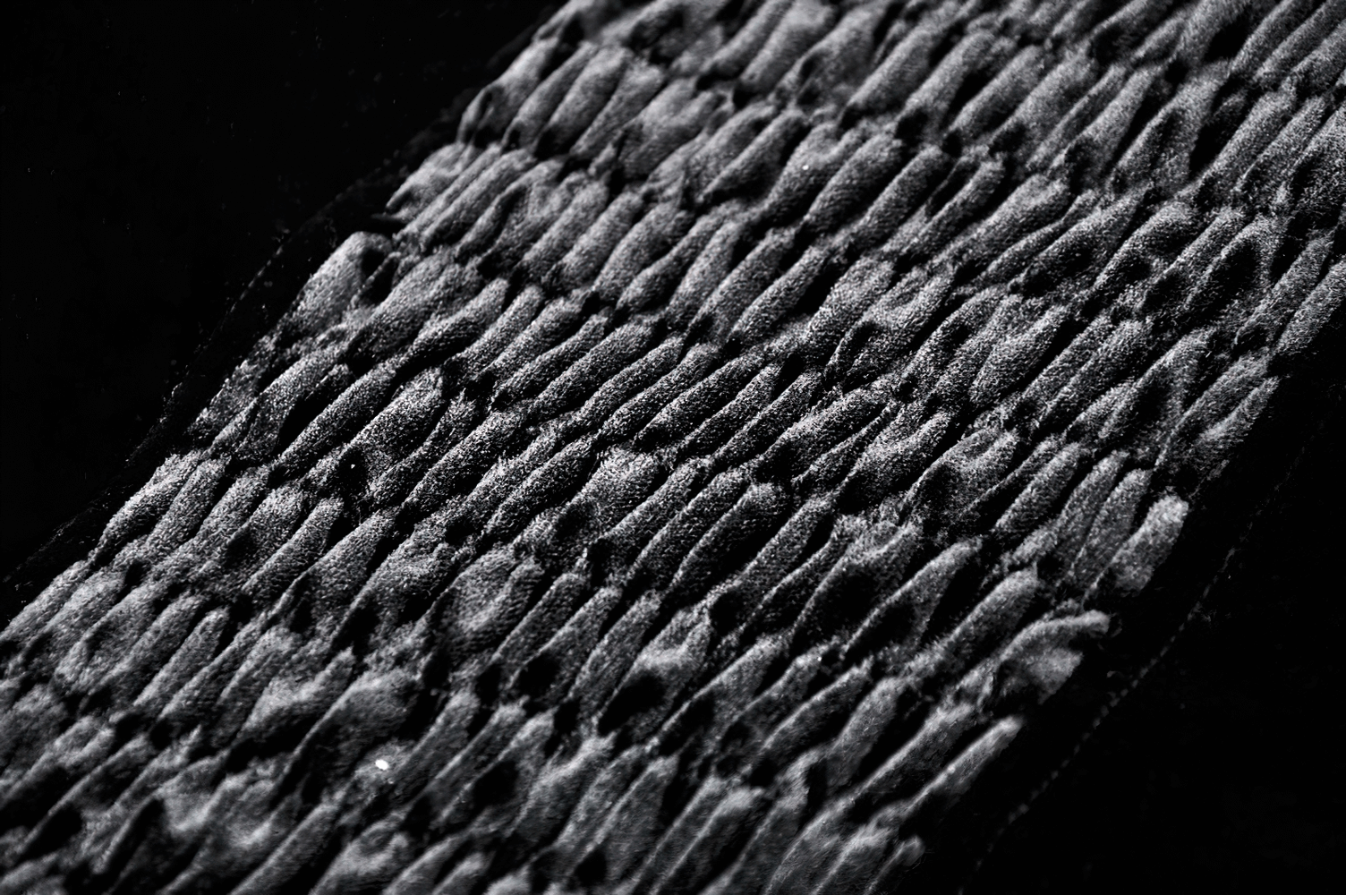 Close-up of elegant velvet corset fabric showing rich texture and detail, perfect for a dramatic outfit.