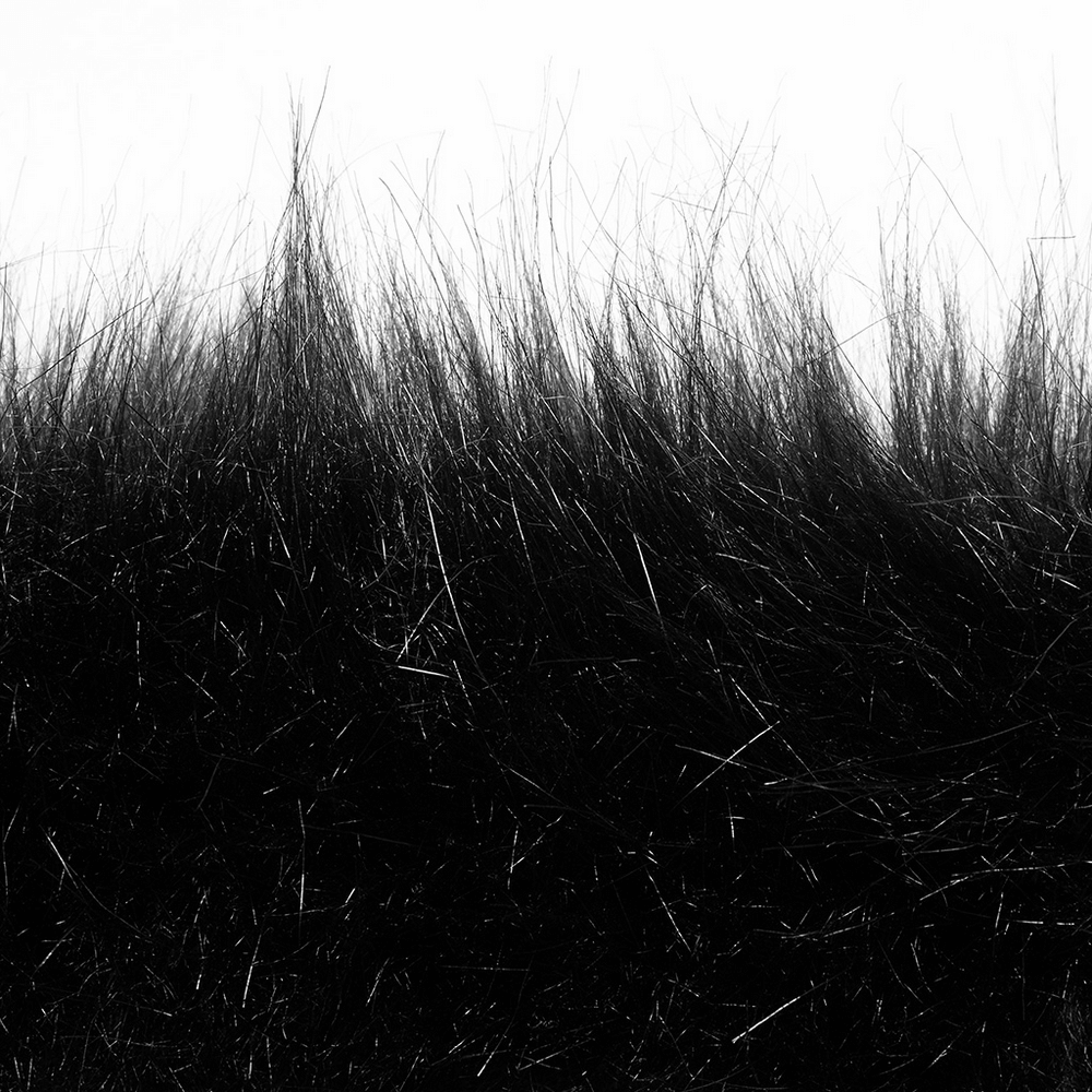 Close-up of textured black faux fur, perfect for luxurious elegant fashion items.