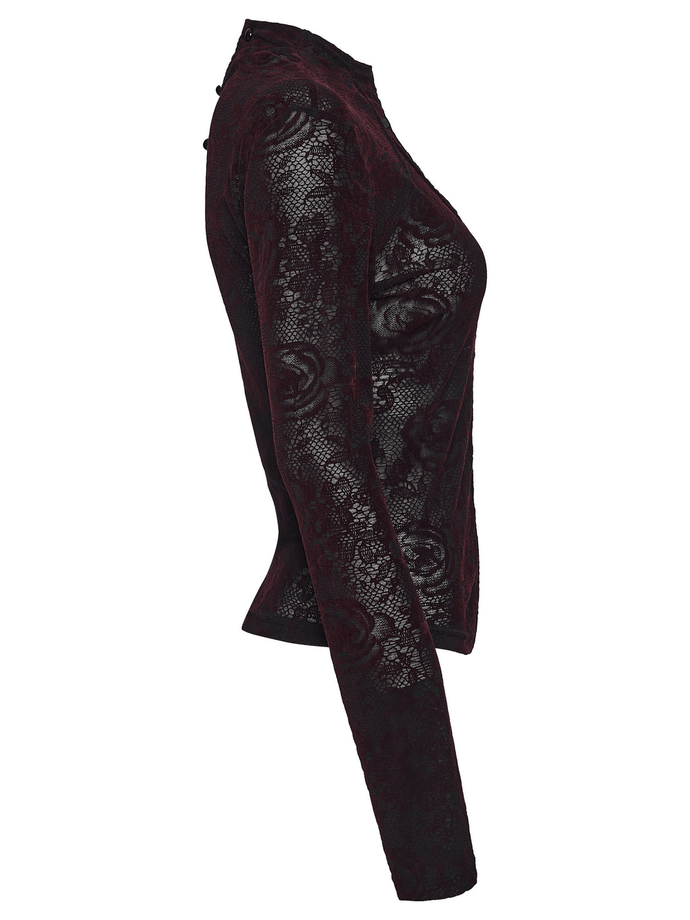 Fitted Gothic Rose Mesh Top with High Neck Detail