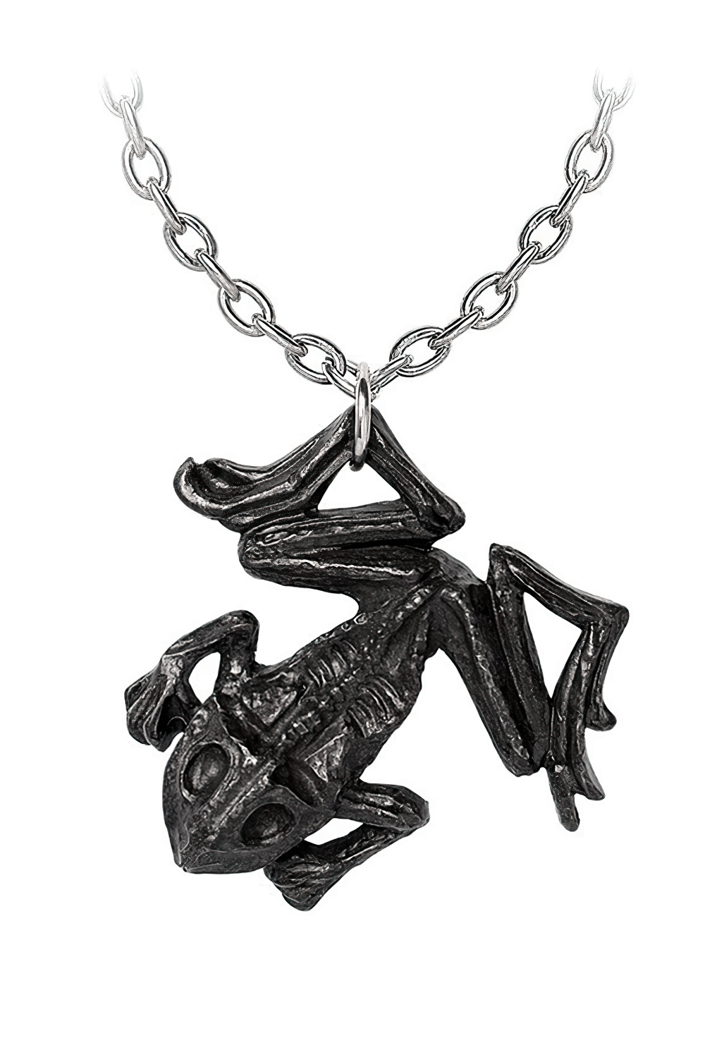 Gothic Dead Frog Talisman Pendant in black pewter, featuring a frog charm on a silver chain for magical practitioners.