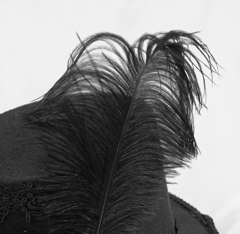 Close-up of a gothic black hat featuring a striking detachable feather, perfect for vintage and unisex styles.