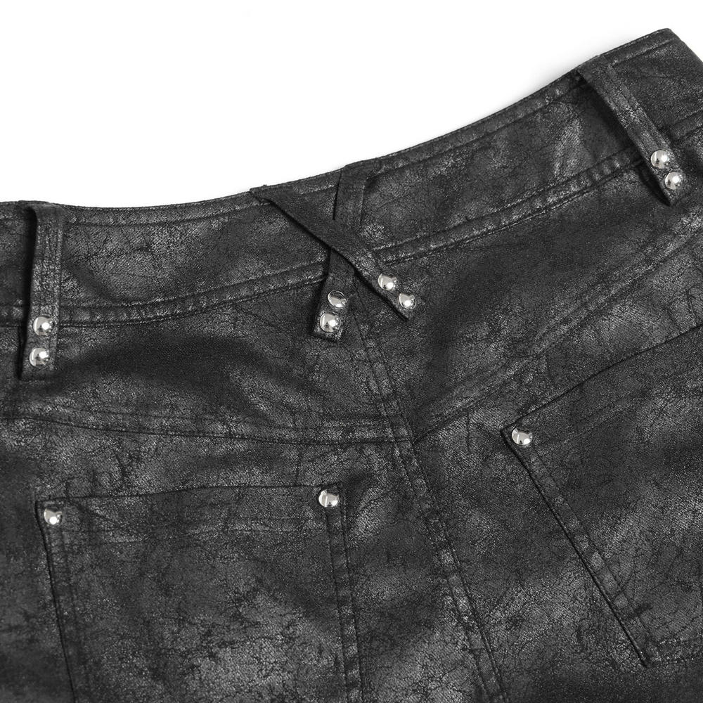 Gothic Lace Up Flared Pants with Metal Eyelet Details featuring decorative hardware and textured panels.