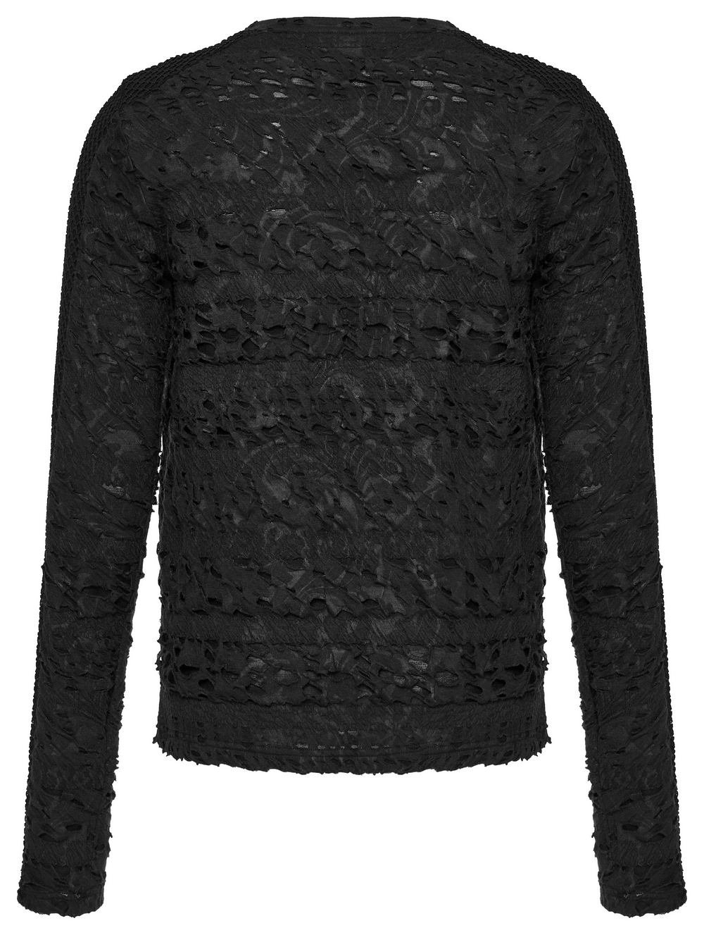 Back view of Gothic men's long sleeves top in black with intricate floral lace patterns and sheer mesh.
