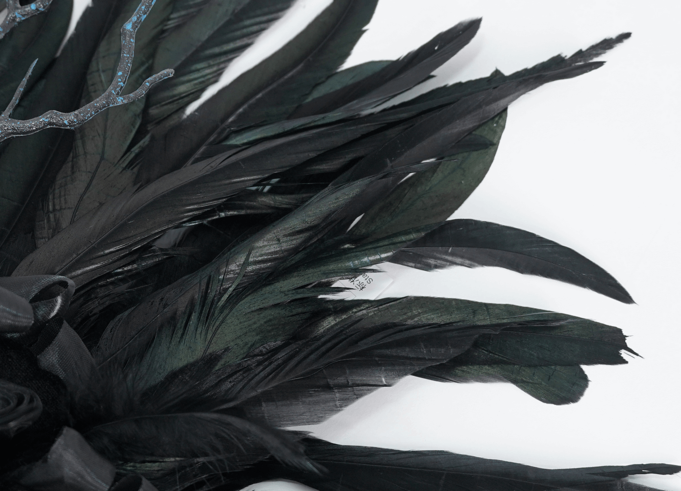Couronne gothique en plumes noires avec accents floraux