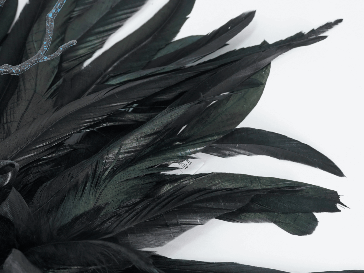 Close-up of black feathers for Gothic Noir crown, showcasing intricate textures and elegance for stylish events.