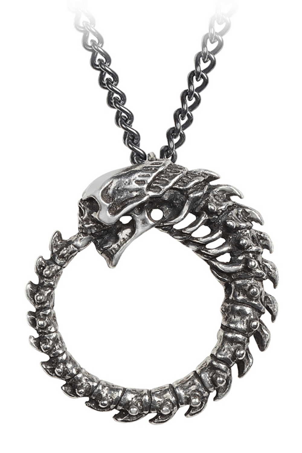 Gothic Ouroboros Skull and Spine Circle Pendant in detailed pewter design on dark chain.