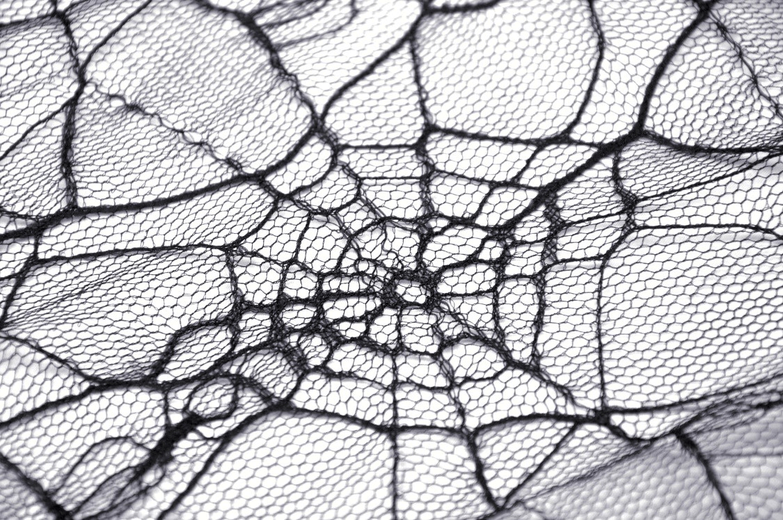 Black lace fabric featuring an intricate spiderweb pattern, perfect for gothic fashion and costume design.