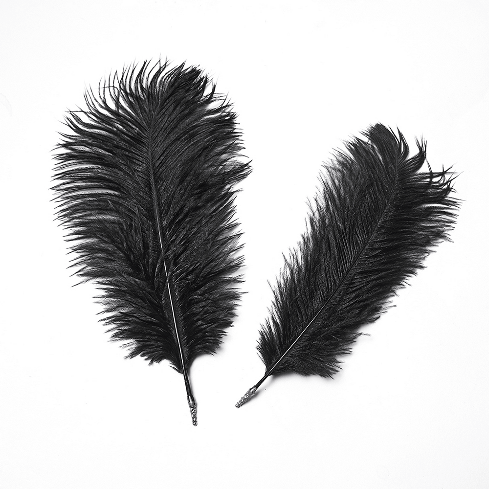 Imprisoned Beast Bone Pirate Hat with Gothic Lace Details includes decorative black feathers