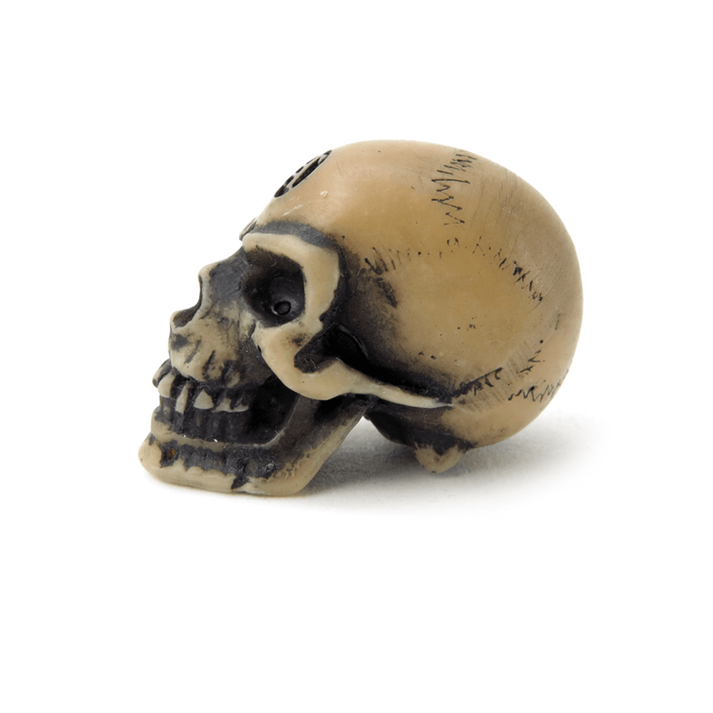 Tiny Lapillus skull worry stone for gothic decor, features mystical symbols and adds occult charm.