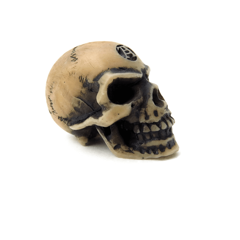 Tiny Lapillus Skull Worry Stone for occult decor, adorned with mystical symbols for gothic aesthetics.