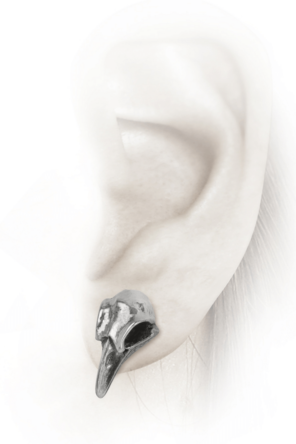 Close-up of a polished pewter raven skull earring displayed on an ear, showcasing detailed craftsmanship.