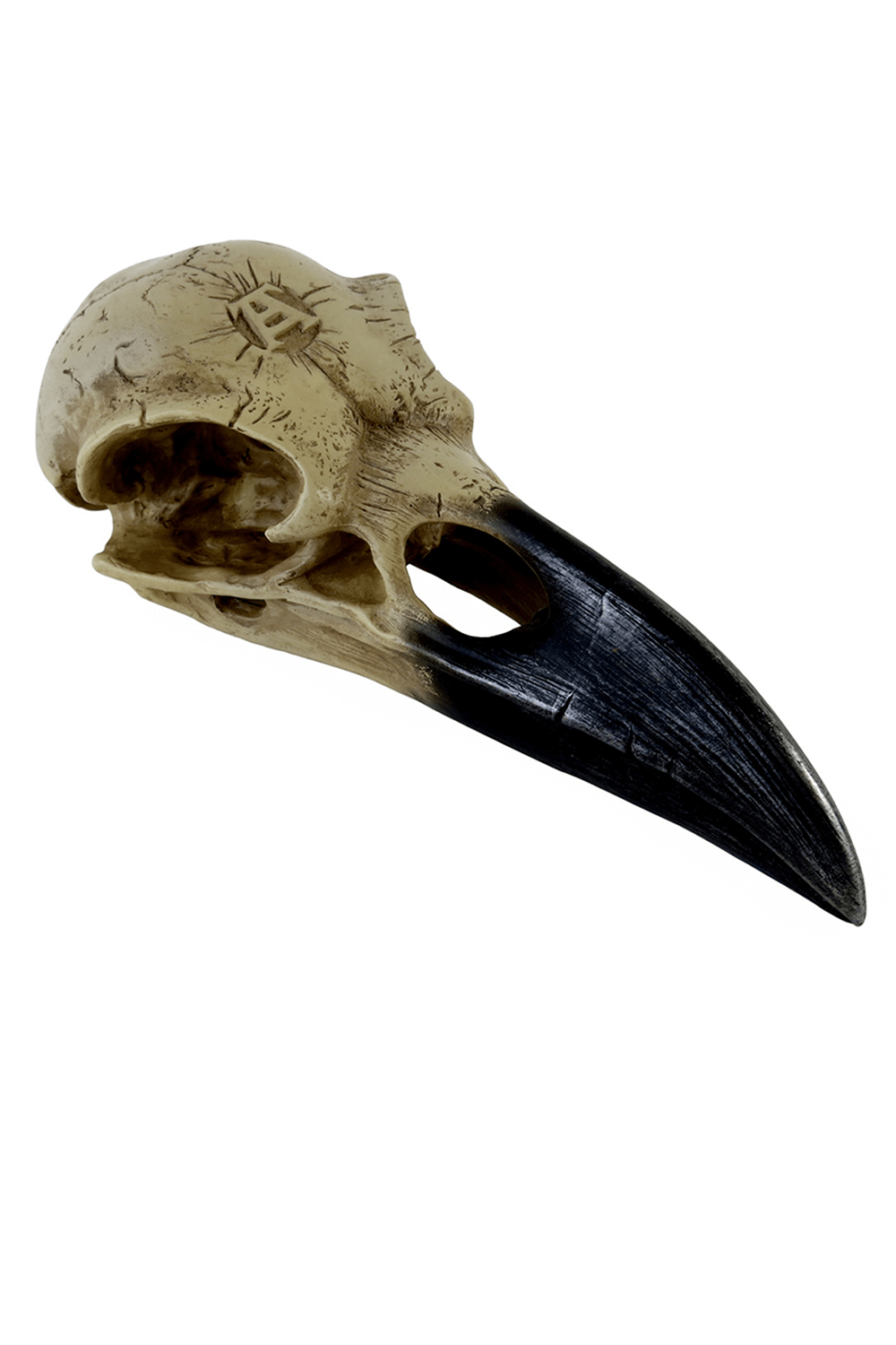 Mythic raven skull ornament in gothic style, perfect for occult decor and dark academia aesthetics.
