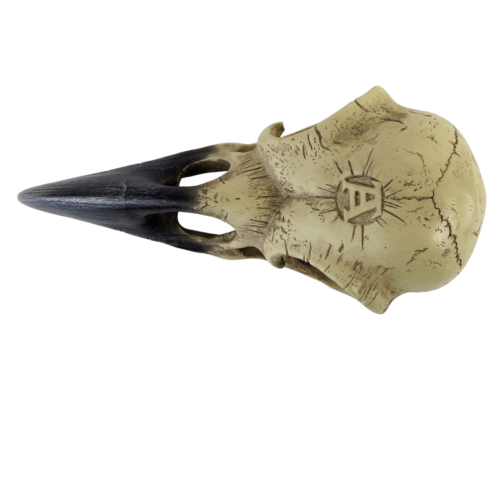 Gothic raven skull ornament for occult decor, perfect for dark academia and macabre aesthetics.