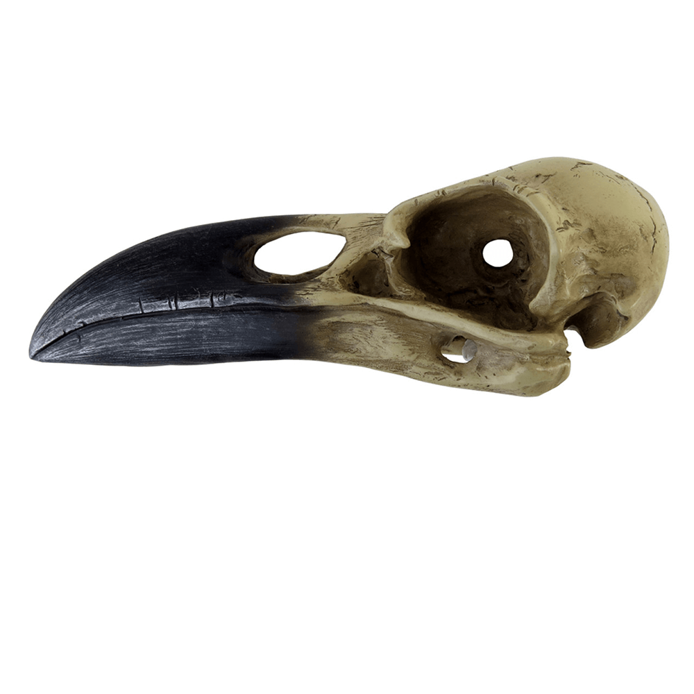 Mythic Raven Skull Ornament for gothic decor, crafted from durable resin for occult enthusiasts.