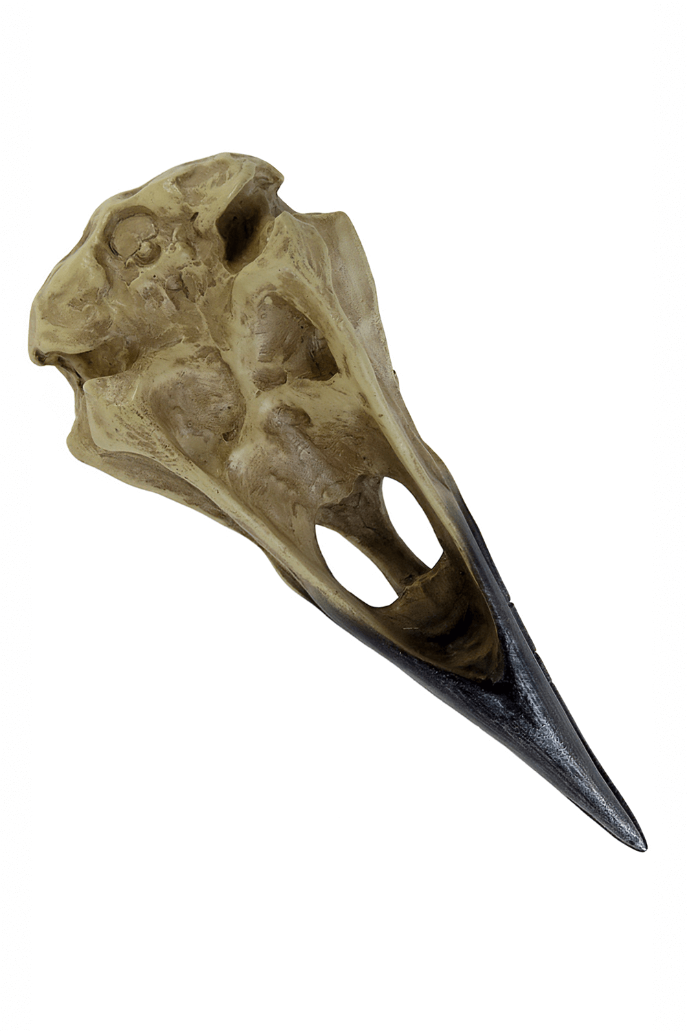 Mythic raven skull ornament crafted from durable resin, perfect for gothic decor and occult aesthetics.