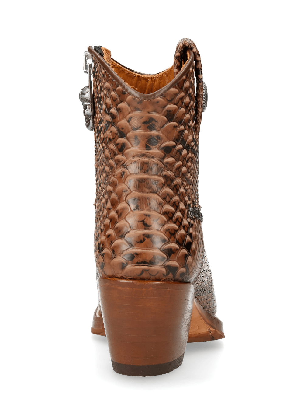 Back view of NEW ROCK brown python print ankle boots with zipper, showcasing the exotic leather texture and stylish heel.