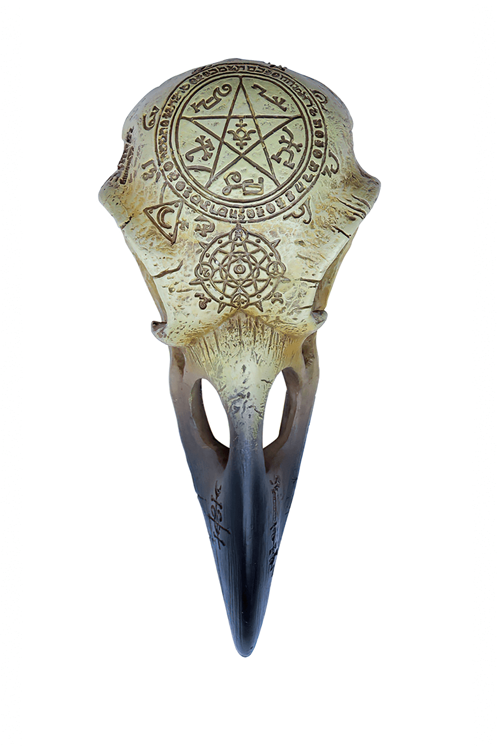 Omega Raven Skull with Norse and occult symbols, perfect for gothic decor and altars.