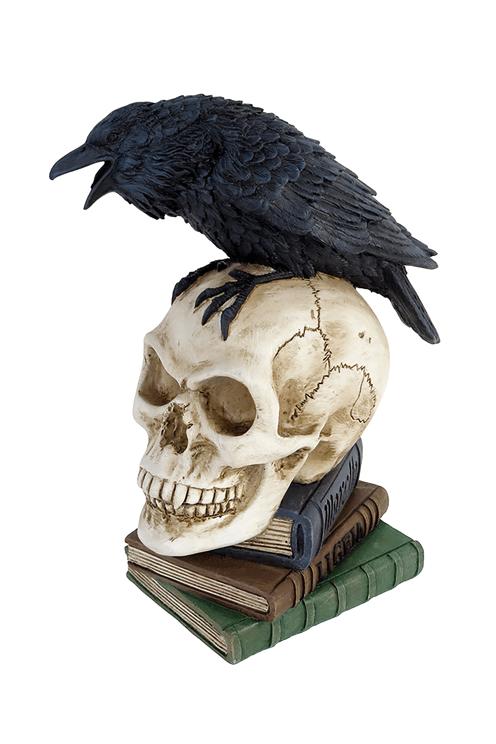 Raven perched on skull with stacked books, inspired by Edgar Allan Poe's macabre art - perfect dark decor.