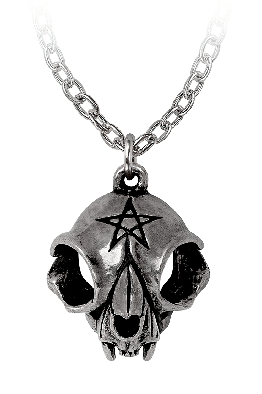Polished cat skull pendant with pentagram design, symbolizing mystical bond and protection.