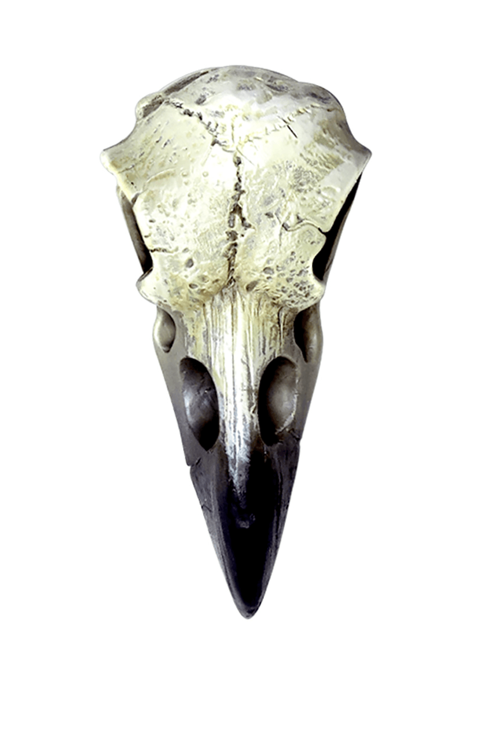 Gothic resin raven skull pendant talisman for spiritual rituals and inner transformation.