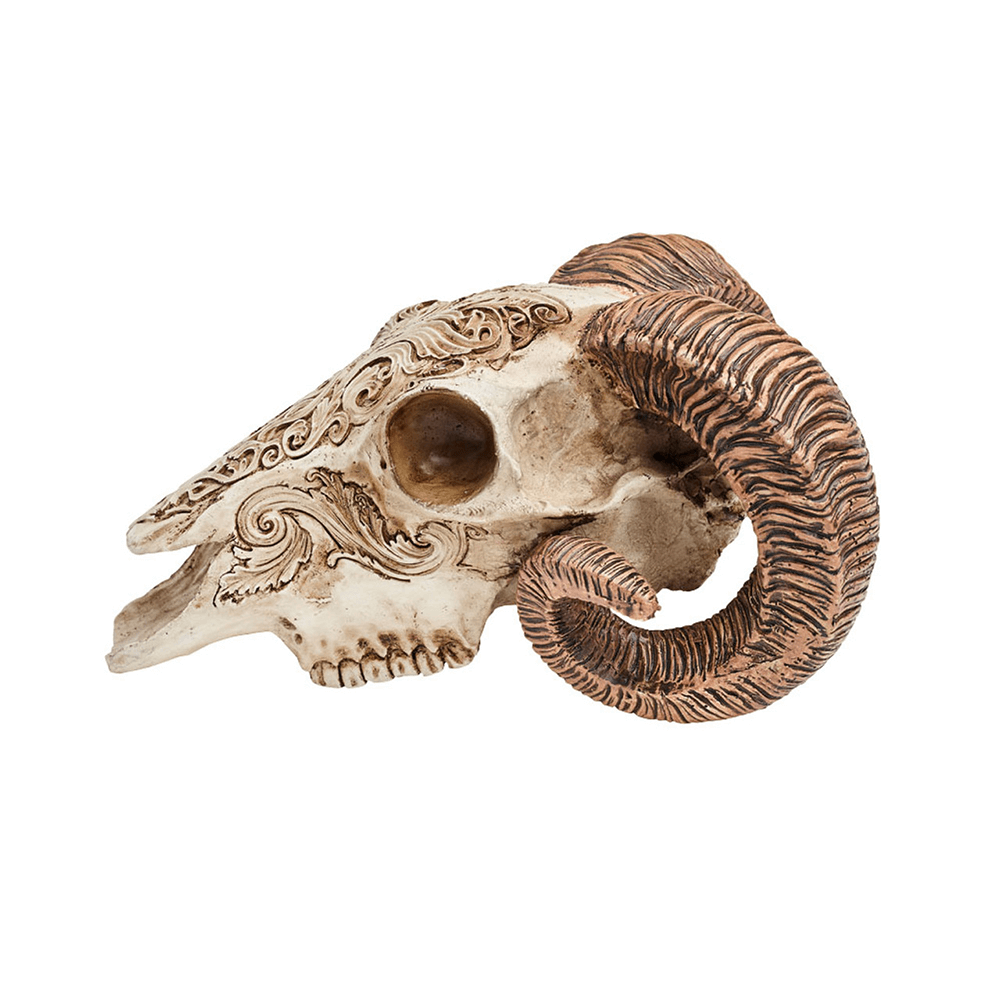 Intricately carved scrimshaw ram skull with foliate designs and ornate horns, perfect for gothic decor.