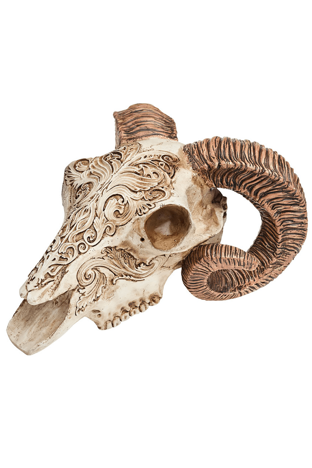 Ornate scrimshaw ram skull with intricate foliate carvings, perfect for gothic decor and collectors of mythological art.