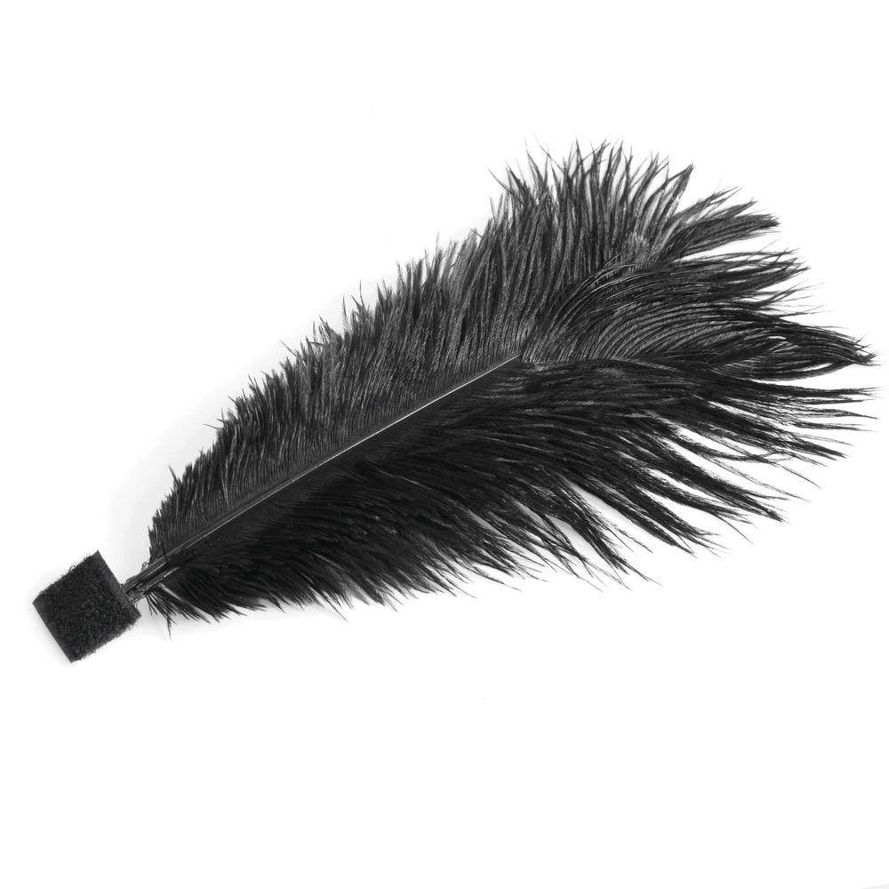 Elegant black feather for gothic fashion accessories or costume decoration. Perfect for adding drama to any look.