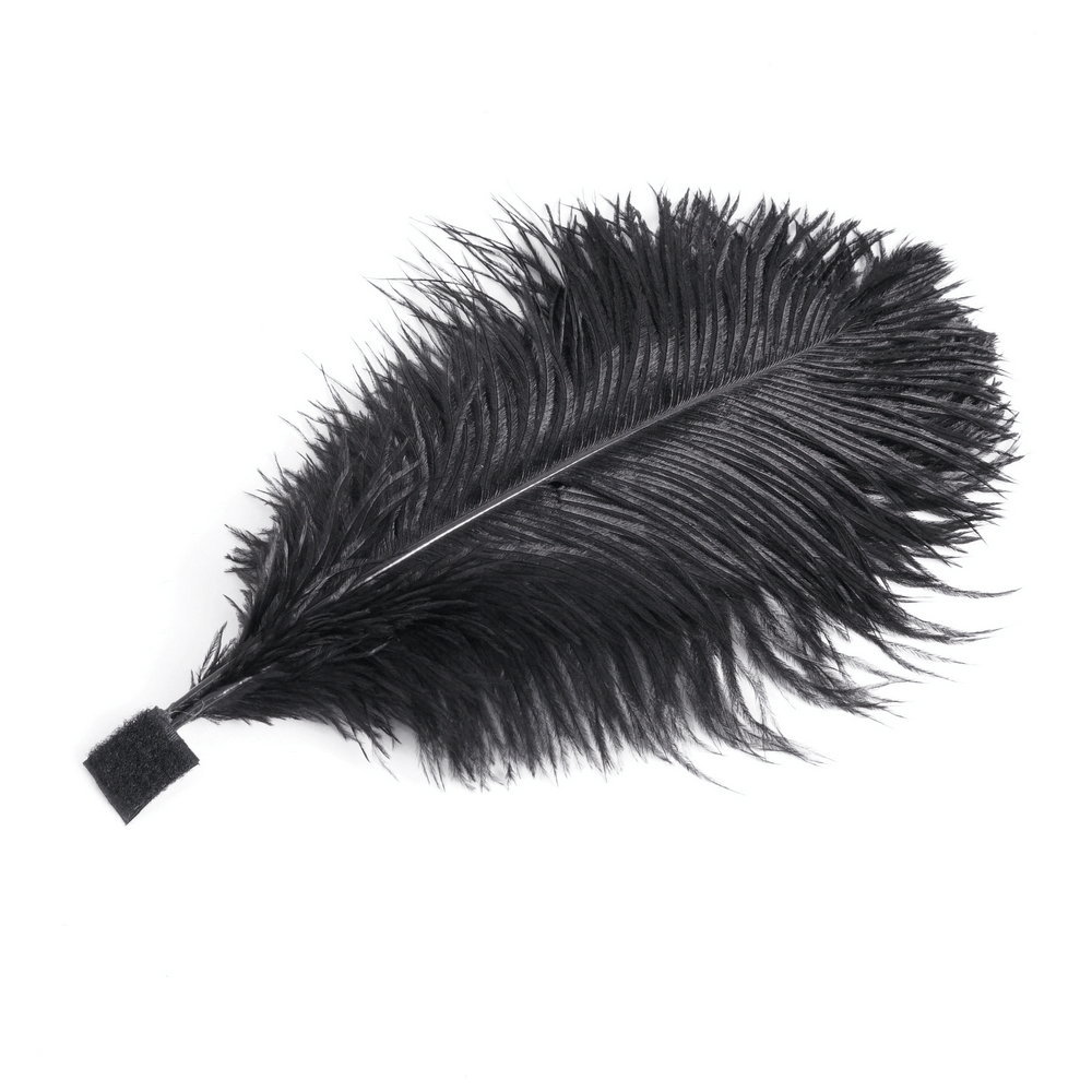 Elegant black feather perfect for enhancing Victorian Gothic hats and costumes with a touch of drama and style.