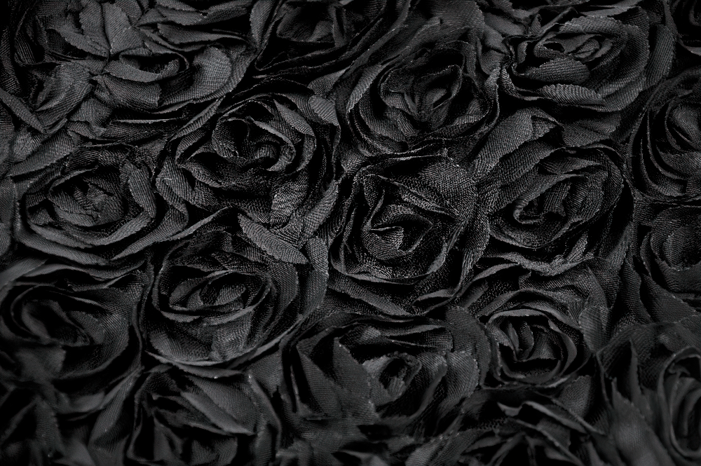 Women's Black Rose Textured Lace Trim Gothic Shorts with sculptural black rose appliques.