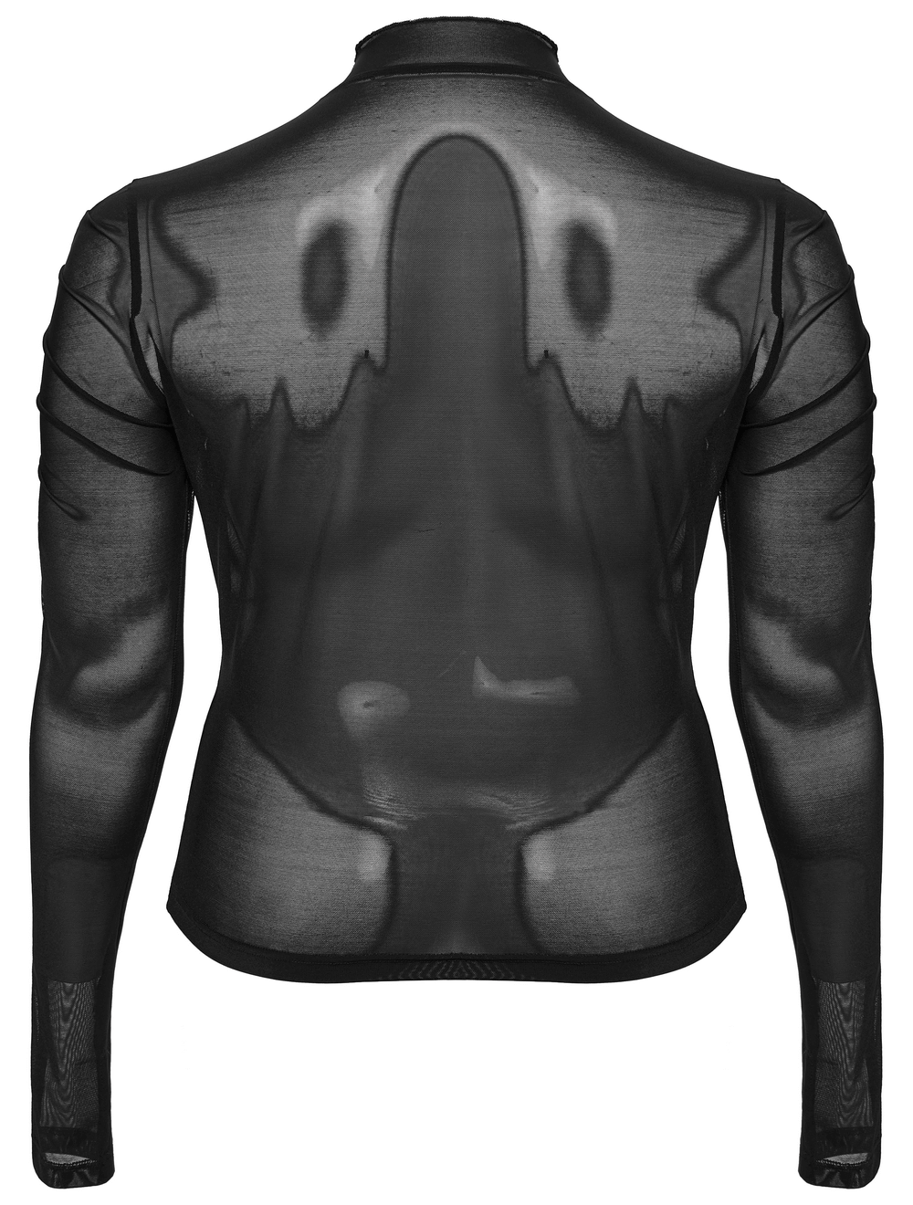 Women's gothic long-sleeved mesh top showcasing intricate pleats and a high collar, perfect for elegant gothic style.