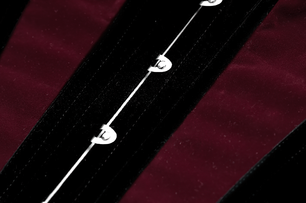 Women's Gothic Velvet Corset with Burgundy Panels featuring black and burgundy velvet and striking metal clasps.