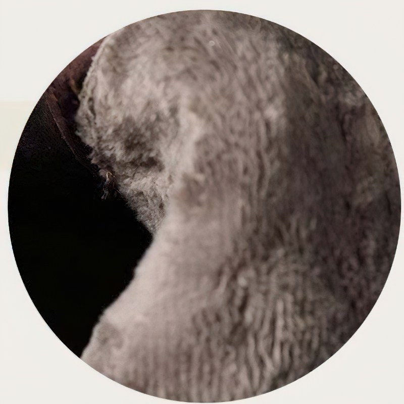 Close-up of soft, warm fur lining inside stylish women's leather boots, showcasing comfort and quality.