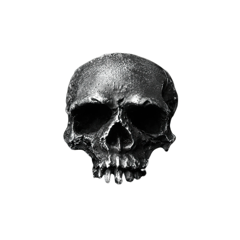 Rugged black skull design for punk men's ring in stainless steel, showcasing bold and edgy style.