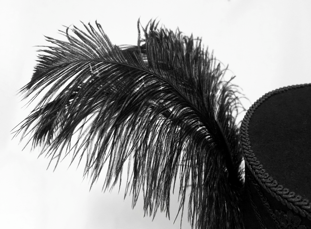 Elegant black feather accent on a vintage gothic top hat for men, perfect for cosplay and retro fashion.