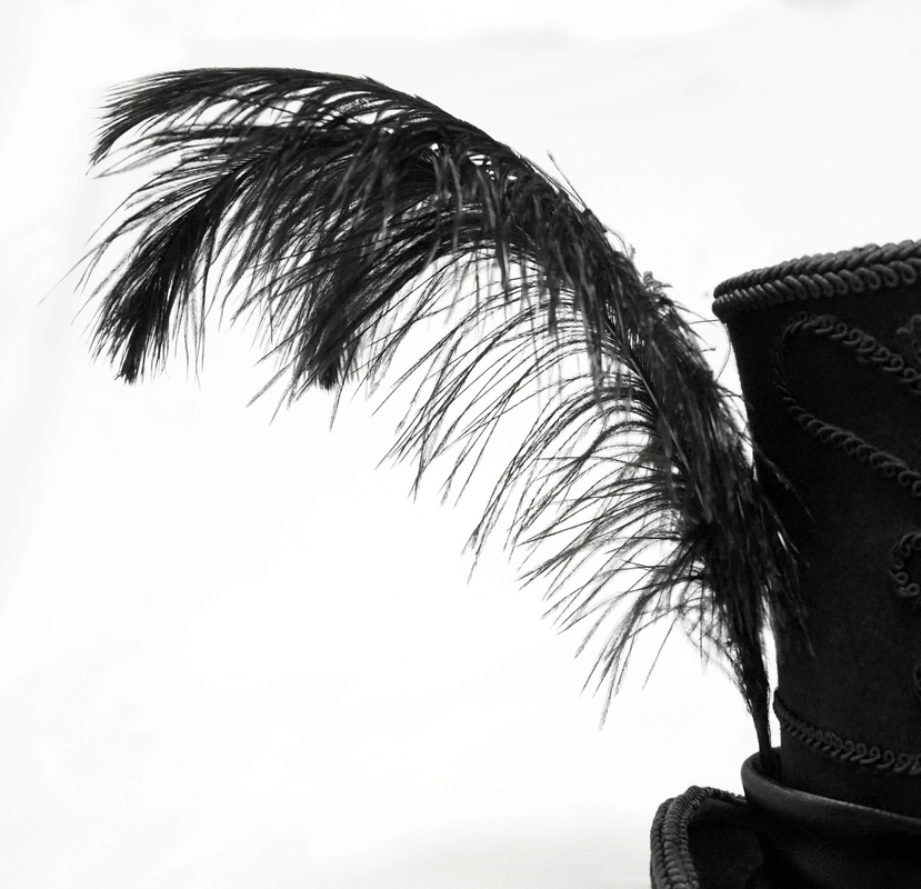 Black vintage top hat adorned with a stylish feather for a gothic retro look.